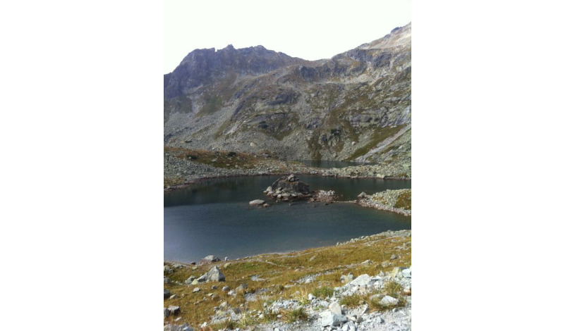 Hotel CROCUS **** Vysoké Tatry